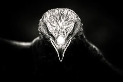 rochez59's profile picture. 