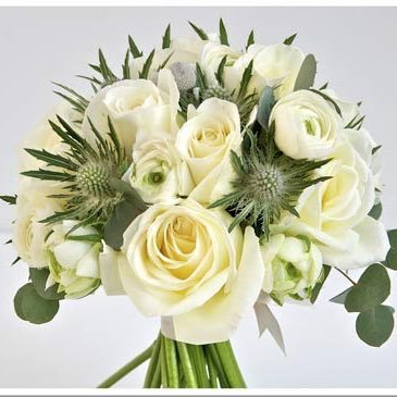 Floral designer, Wedding planner, Venue dresser and so much more! 01663764189