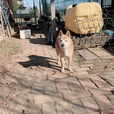 ihAFpcQ96xa4YhH's profile picture. 