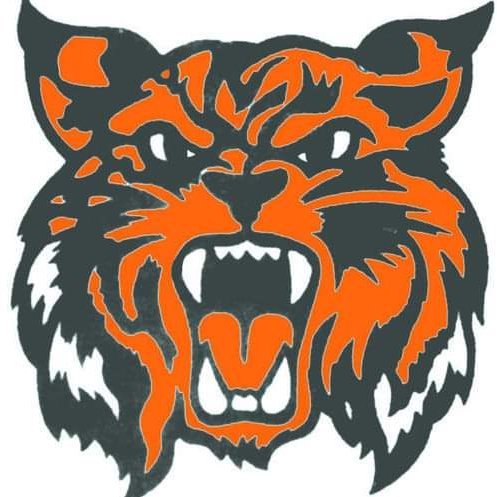 nhhs_wrestling's profile picture. 