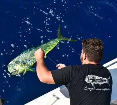 Founder of Fly-Fish Sportswear👕


Captain of Mahi Sportfishing Puglia🎣

Parrots breeder🦜

Fish tanks maintainer 🐠🐡