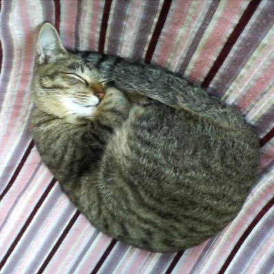 RIKA80307559's profile picture. 和牛A4から和牛さん好きになりお笑いに興味持ちました😊/お笑い以外のこと呟いてRTもあり🙏💦フォロリムご自由に‼︎