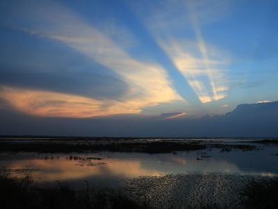 CHENMaggiechen_'s profile picture. Optimistic and easy get along with