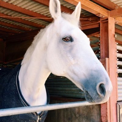 学習院女子大学馬術部新歓アカウントです🌸🐴 学習院大学と合同で活動中! ライダー、マネージャーの新入部員大募集✨ご質問などお気軽にDM.リプライでどうぞ
