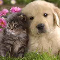 富田影大 (@879tzyzk2f05osq) 's Twitter Profile Photo