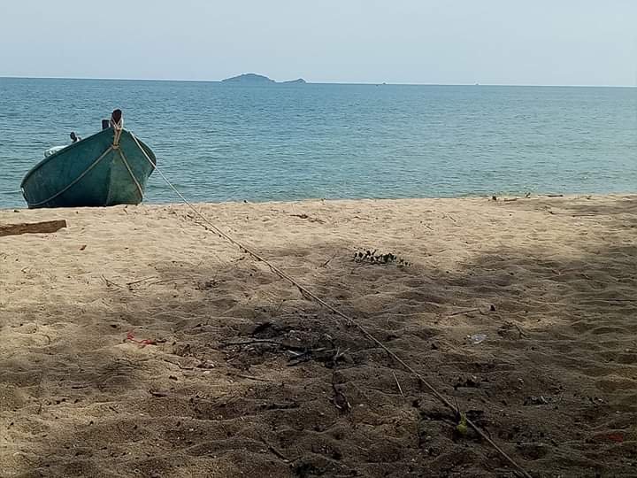 HEE15983233's profile picture. 