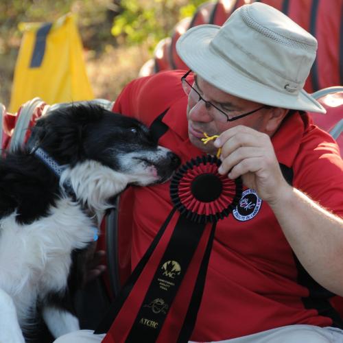 icenrye's profile picture. A guy and his dogs.