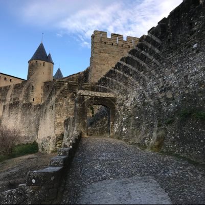 mrgtwits's profile picture. 