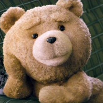 TDarret's profile picture. Hunting high and low