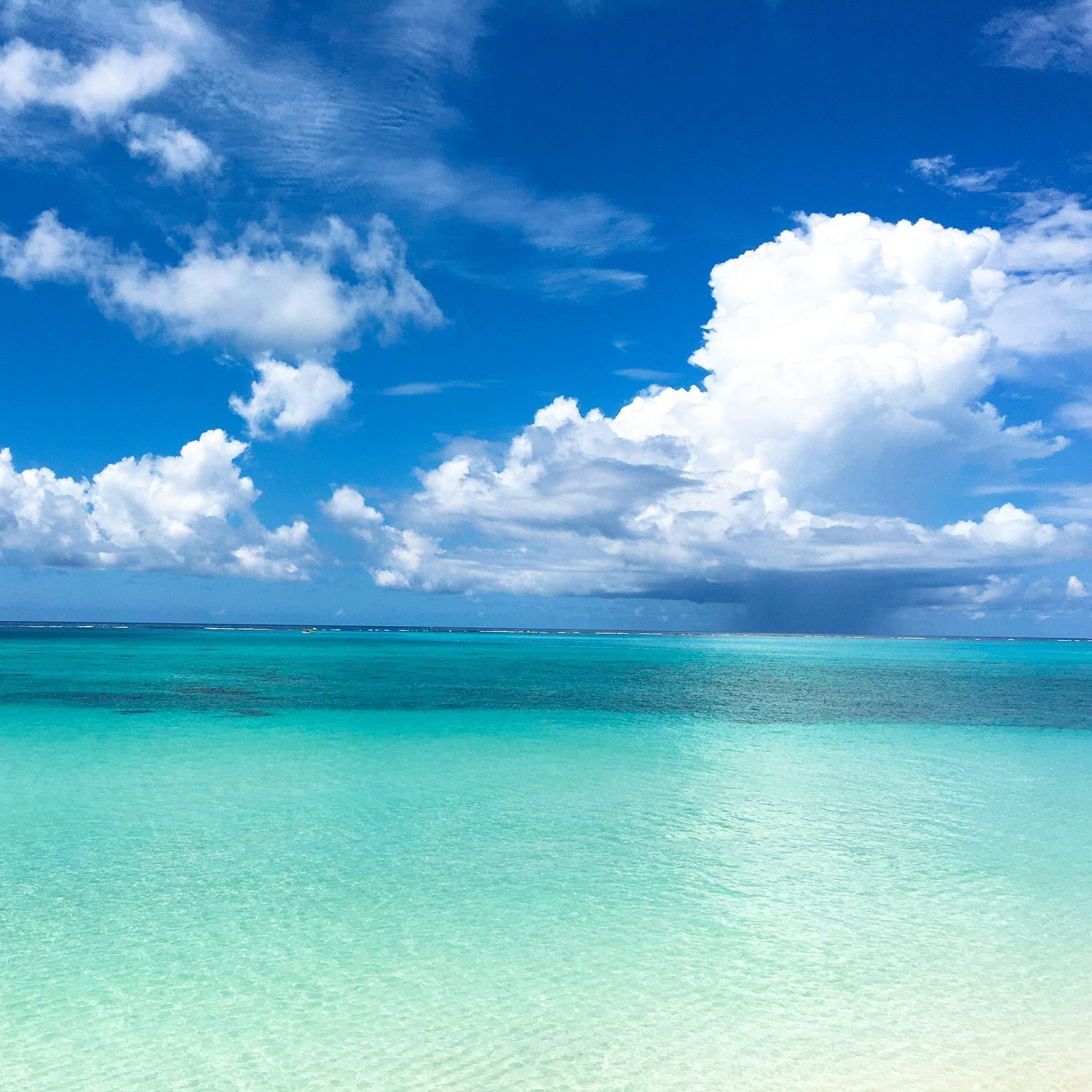 yukihaitatu's profile picture. 旅行資金を得るため2019年1月より配達員スタート🚴‍♂️⇒リゾバとデリバリーのダブルワーク⛵⇒ラオス沈没　時間と場所にとらわれない生き方を模索中🌎