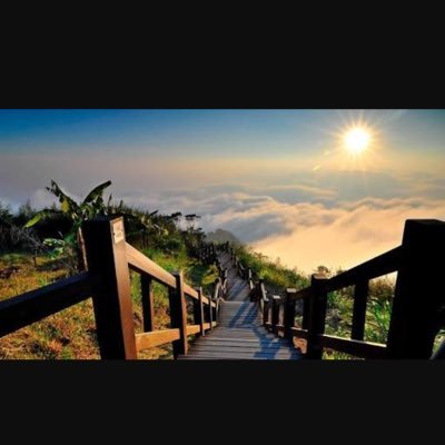 XMikkakusenkin's profile picture. 