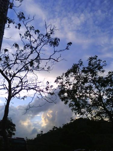 siuwai730's profile picture. 