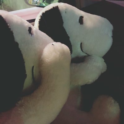 いかさんのプロフィール画像