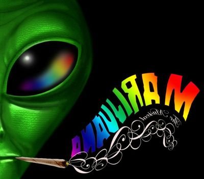 LoKey12005944's profile picture. 100 blunts!!