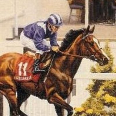 Newmarket resident specialising in the Turf flat season, selections given out at noon not every day and we won’t be charging . Occasional NH bets as well .