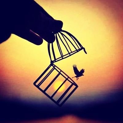 Haniyya12885561's profile picture. ھم  اپنی  مثال  آپ  ہیں  کسی اور جیسا بننے کا تصور بھی نہیں کرتے