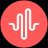 profile rt