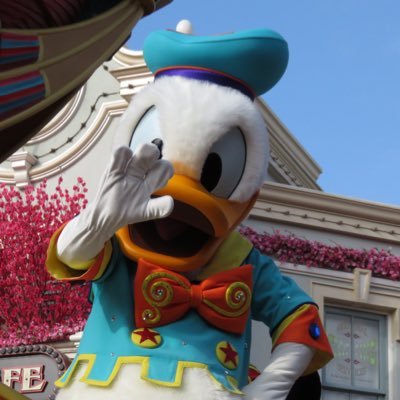 ディズニー, nba, あつ森