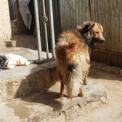 danieltariku's profile picture. 