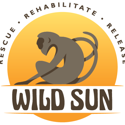 Wild Sun Rescue Center. non-profit in Nicoya Peninsula, Costa Rica. #Wildlife #Conservation, #Biodiversity #Sustainability #Education #AwarenessIsKey