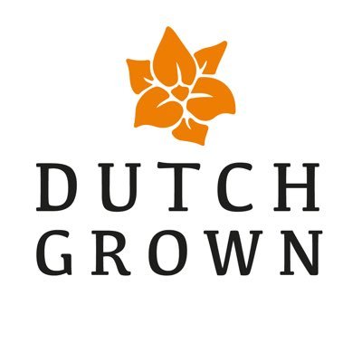 DutchGrown is a dedicated supplier of high quality flower bulbs to gardeners across the United States, Europe and the UK.