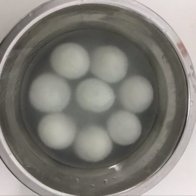 Ty5vQhRVwhbMEwc's profile picture. love you