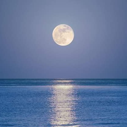 DebrancheK's profile picture. 