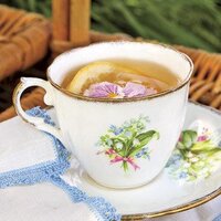 Jeanine Byers Hoag (@tearitual) 's Twitter Profile