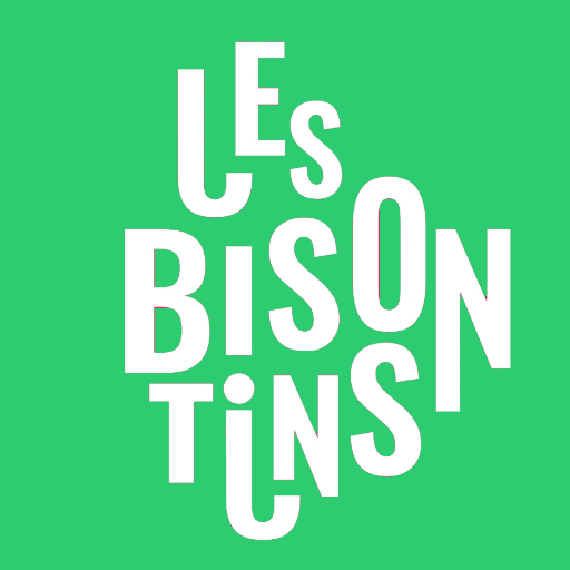 LesBisontins's profile picture. 