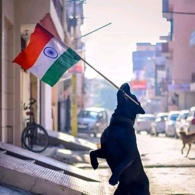 A Proud Indian 🇮🇳 . Interested in Music & Debates . Tweets are Personal ! Retweets are not Endorsement !!!