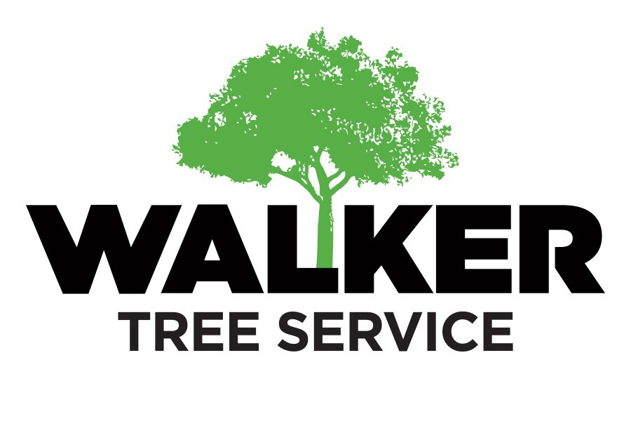 WalkerTree2017's profile picture. 