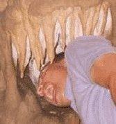 mortenmorup's profile picture. 