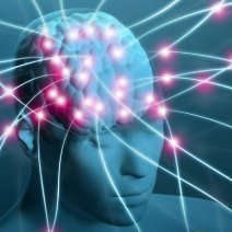 newspin5's profile picture. a news site for share