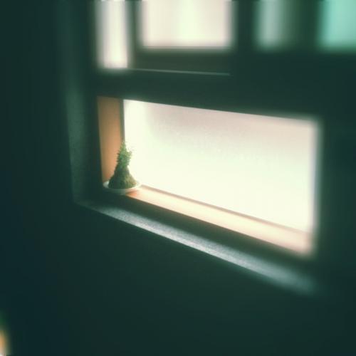 martina2747's profile picture. Networker;
IT, Baseball, Sarah Brightman, 좋아하는것들