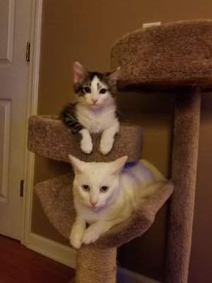 coolscience181's profile picture. 