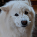 John (@baloneycannoli) Twitter profile photo John (@baloneycannoli) Twitter profile photo