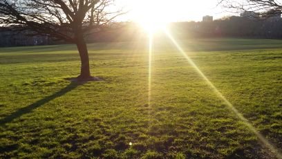 MatthewMcCrick's profile picture. Software engineer and big fan of long, pointless walks