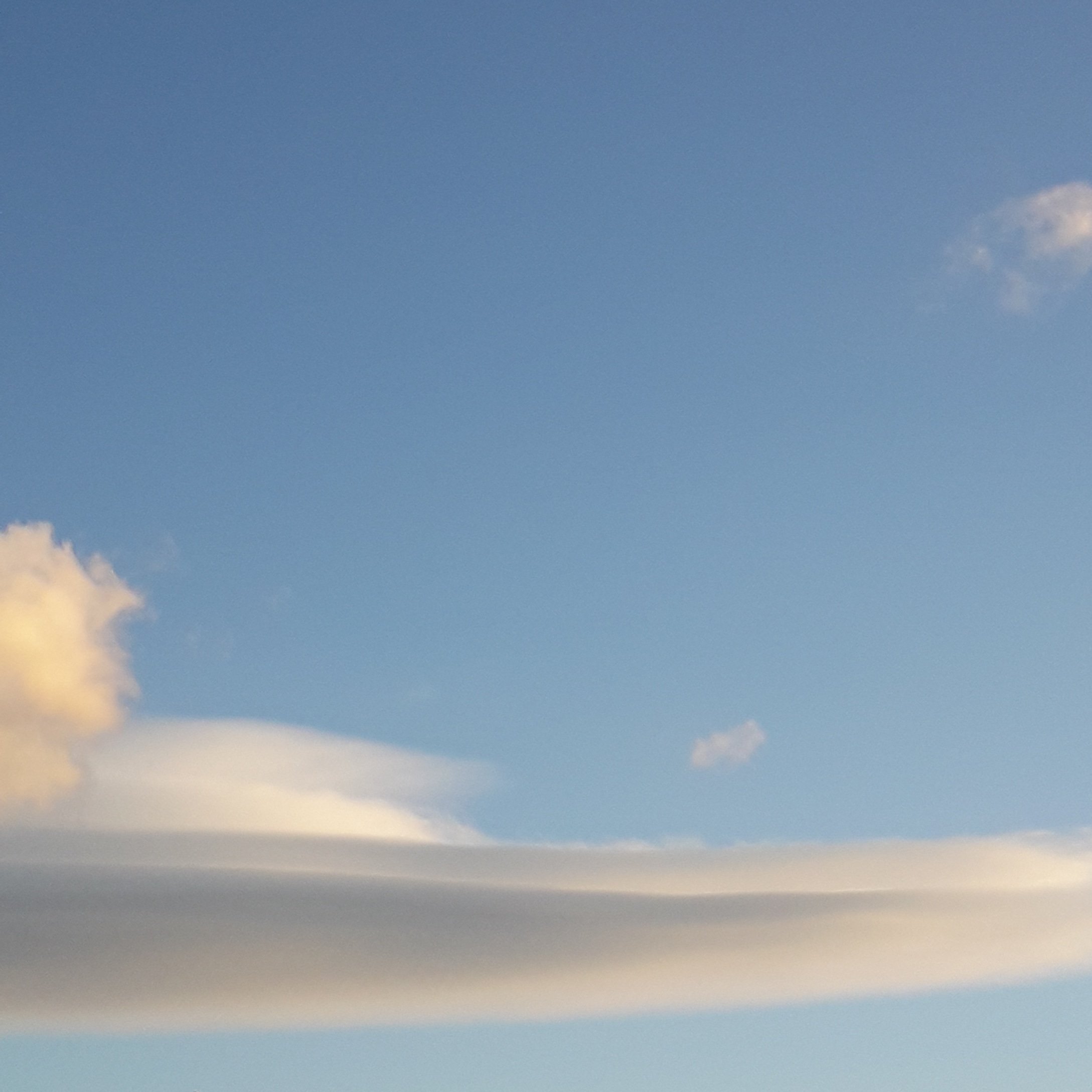 1D_folow_me's profile picture. 