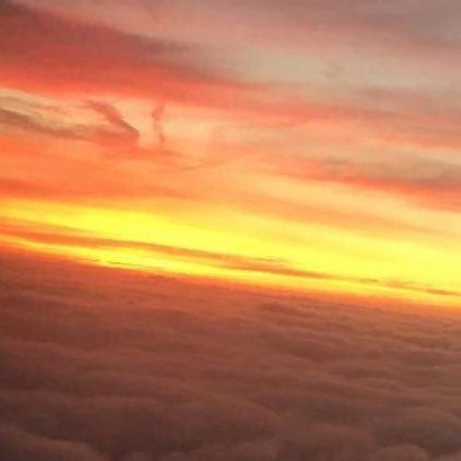 thashams's profile picture. Norway - UK