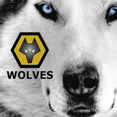 Wolves ay we!