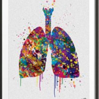 Natasha Wilkinson (@physiotash11) 's Twitter Profile