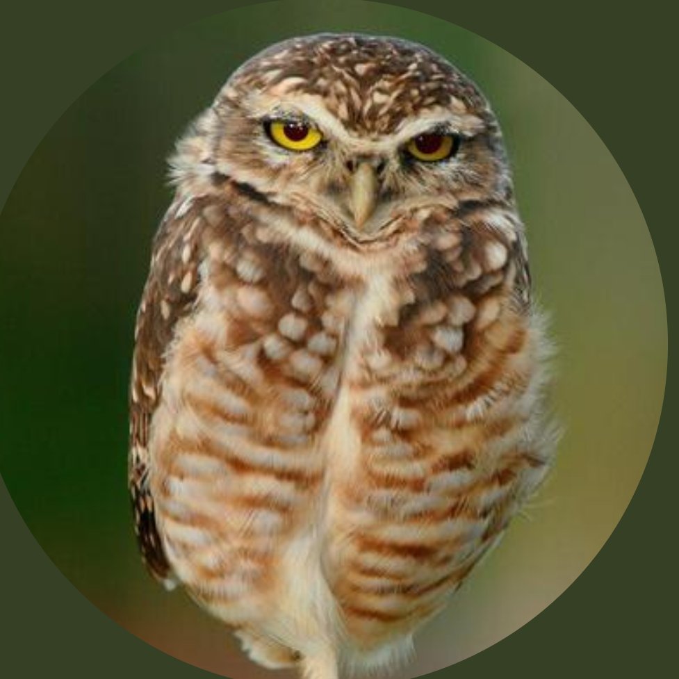 Javier_pere_rey's profile picture. 
