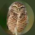 javier Rey pérez (@javier_pere_rey) Twitter profile photo javier Rey pérez (@javier_pere_rey) Twitter profile photo