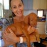 barklysaints's profile picture. Love Vizslas (Chilli), the mighty Saints and twisting at Bikram!