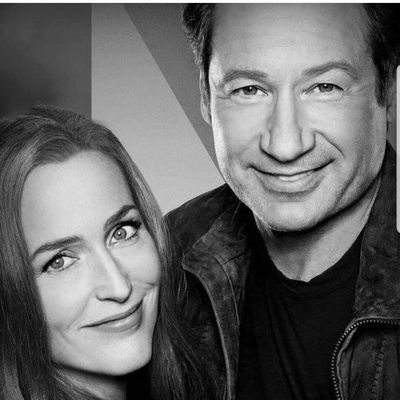 x-phile
#TheXFiles #msr #TheFall #SexAndTheCity #Friends #Twilight 
 #GillianAnderson #DavidDuchovny #Gillovny