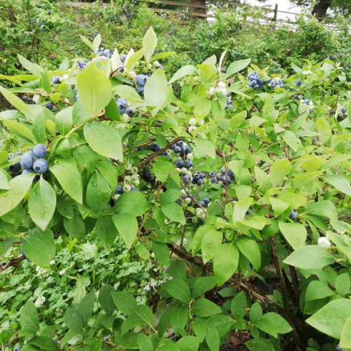 our_health__'s profile picture. zdrowie leży nam na sercu😉