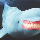 Nate Elmore - @NateElmore - Twitter