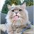 gatadyungay's profile image