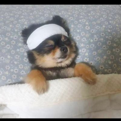 _hyperaware's profile picture. 