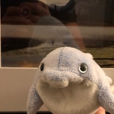 DolphinDadd's profile picture. I make executive decisions about minor inconveniences